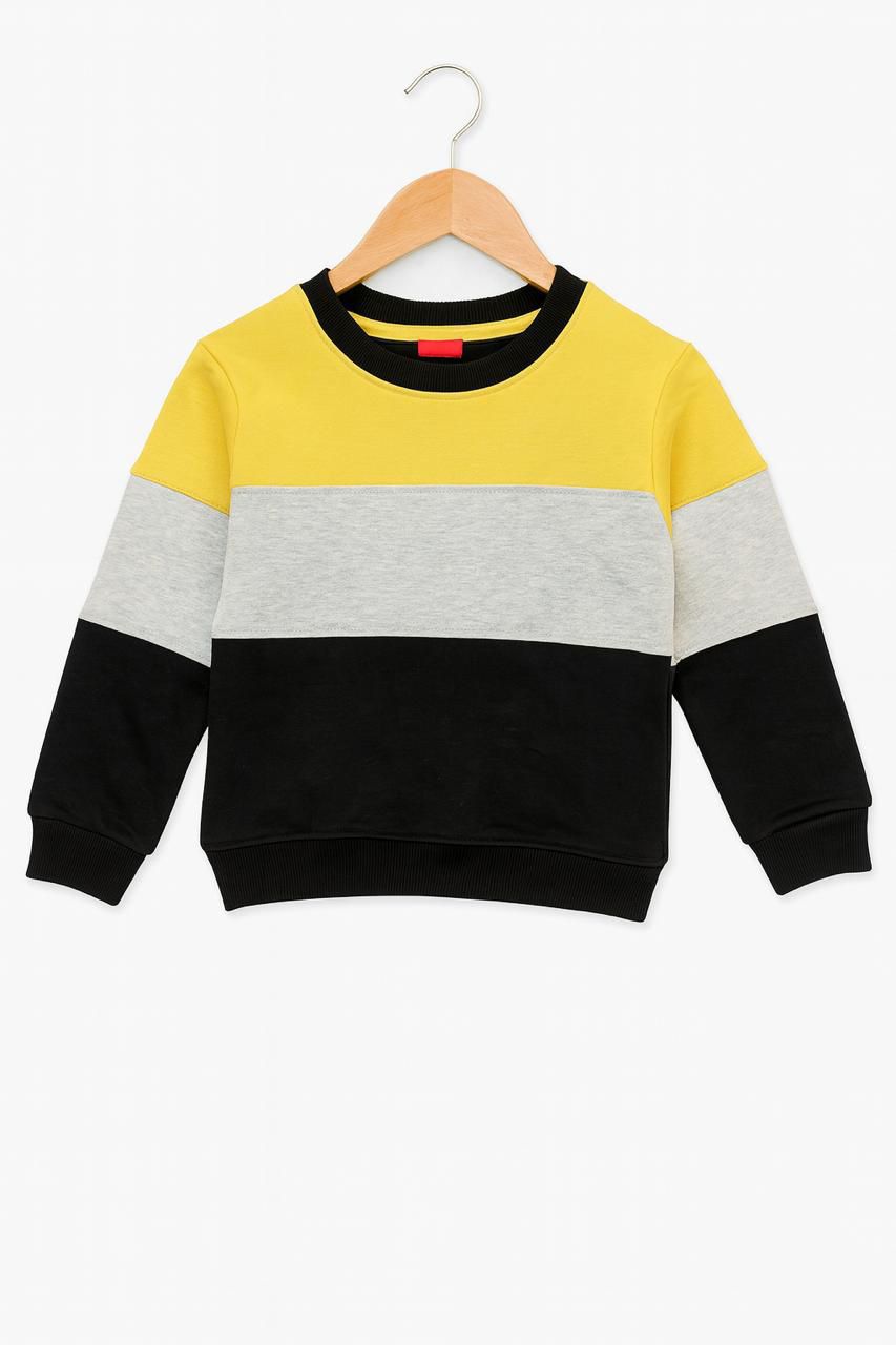 Tri Color Sweatshirt
