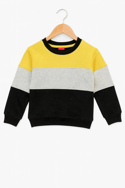 Tri Color Sweatshirt